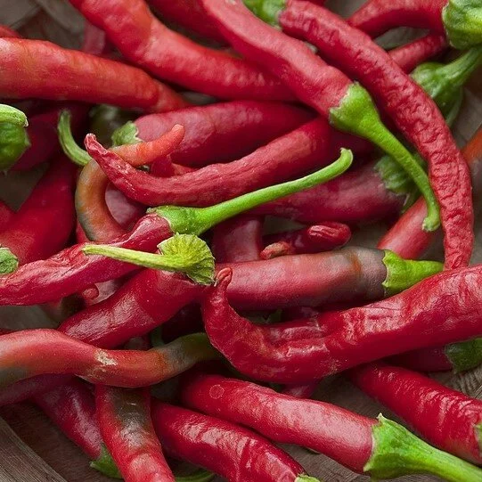 peppers_cayenne square.jpg