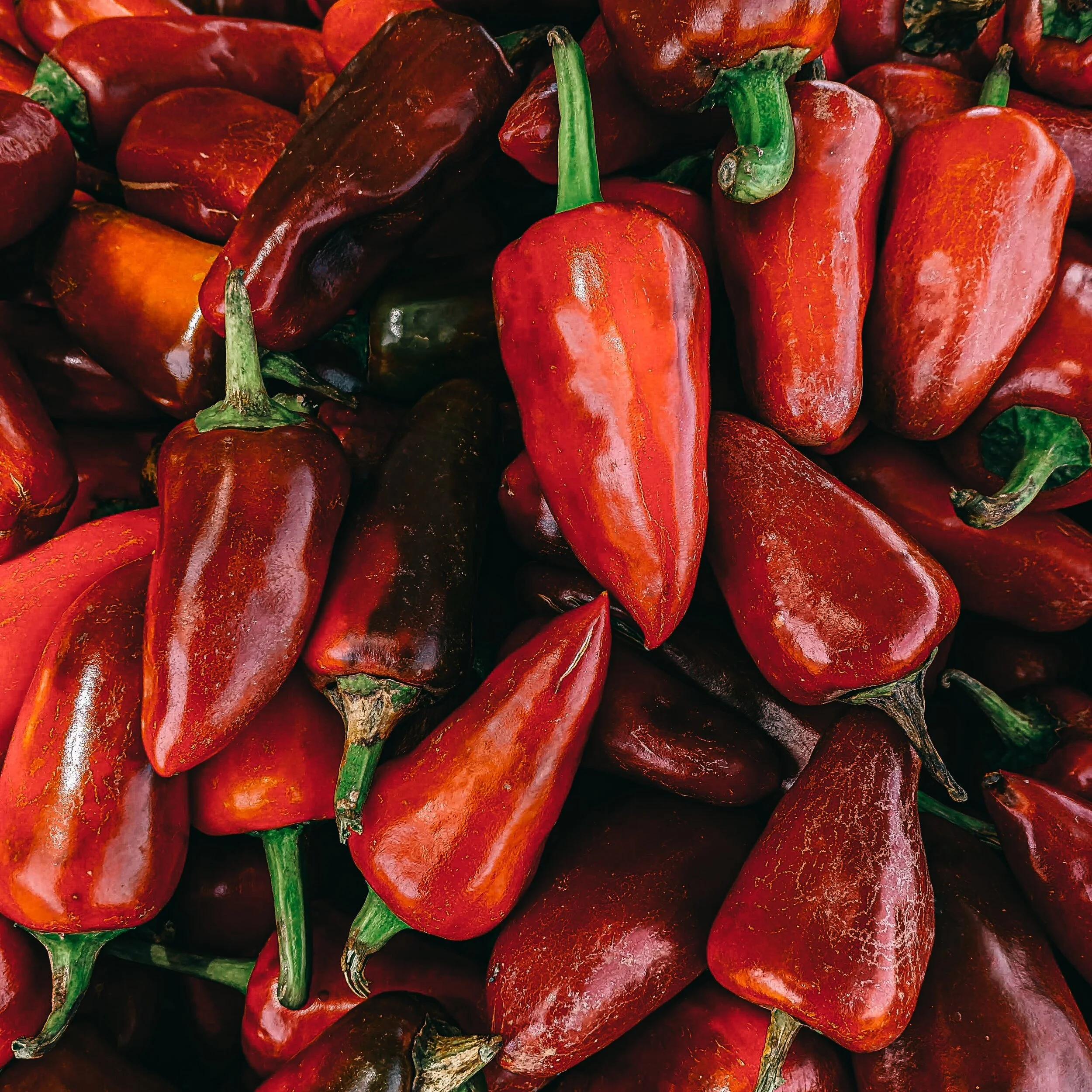 peppers fresno square.jpg