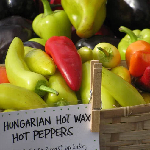 peppers_hungarianhotwax_square.jpg