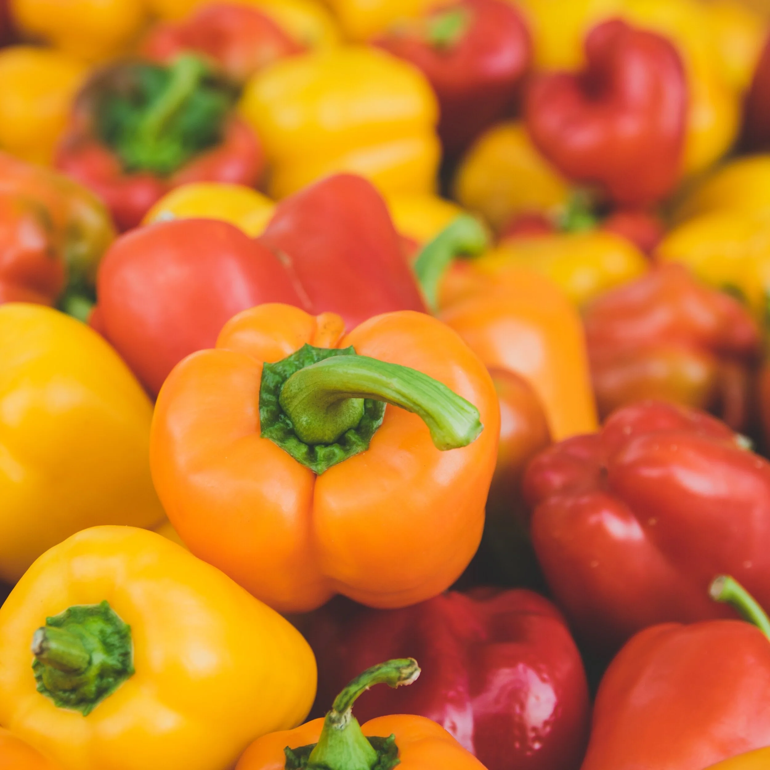 bell-peppers-blur-chili-close-up-594137 square.jpg
