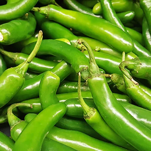 serrano-peppers_square.jpg