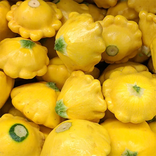 pattypan.jpg