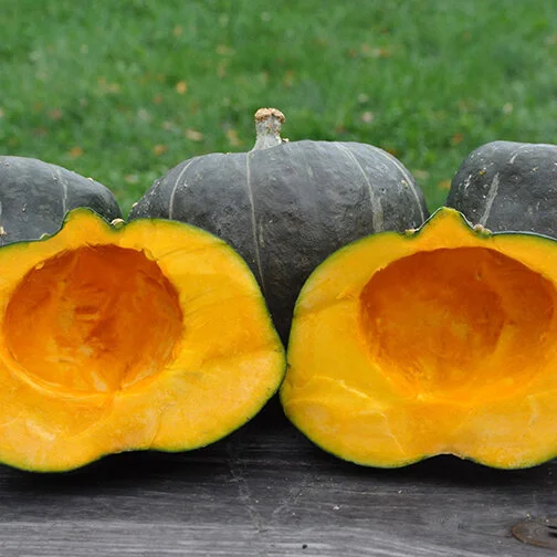 buttercup squash_square.jpg