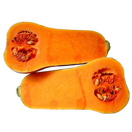 squash_butternut.jpg