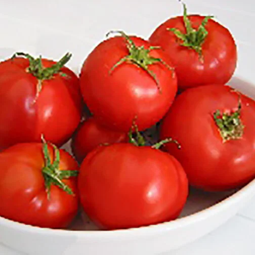 Saint-Pierre-Tomato_square.jpg