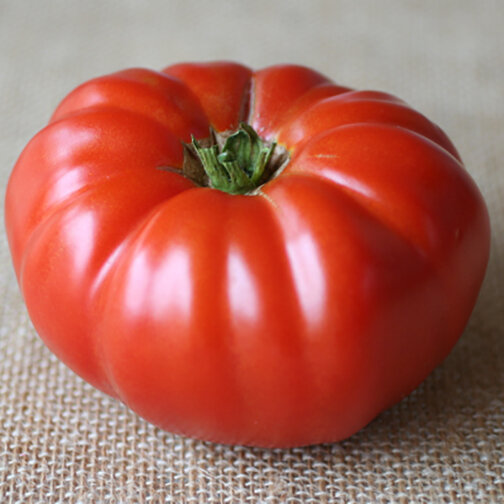 luci tomato.jpg