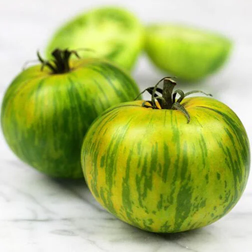 green zebra_square.jpg