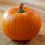 pumpkin.jpg