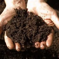 soil.jpg