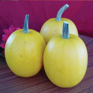 spaghetti squash.jpg