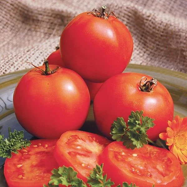 Mountain Princess Tomatoes.jpg