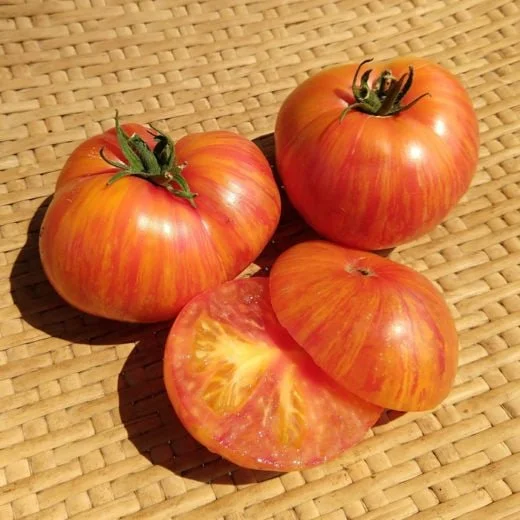 Dwarf Confetti Tomato.jpg