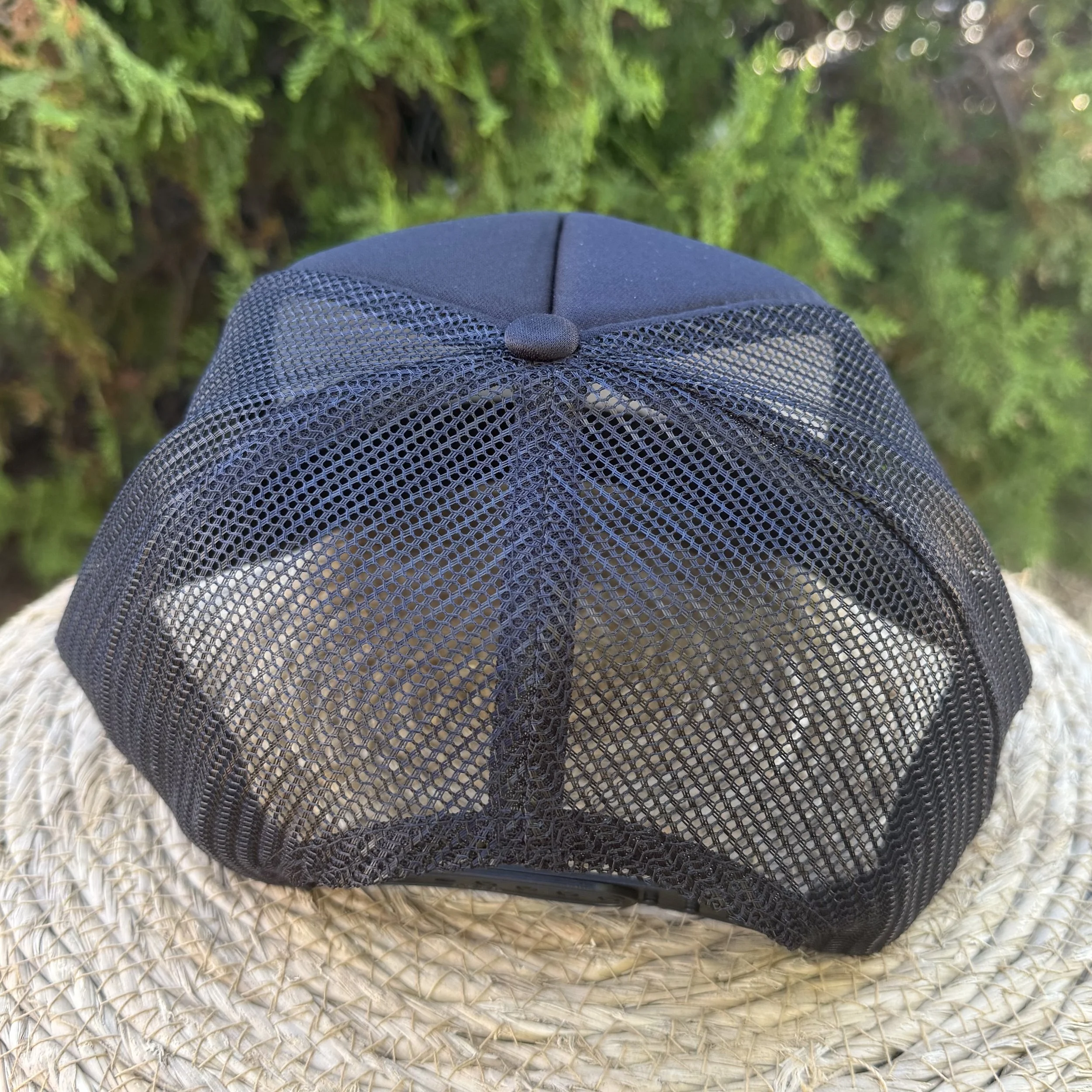 back of hat.jpeg (Copy)