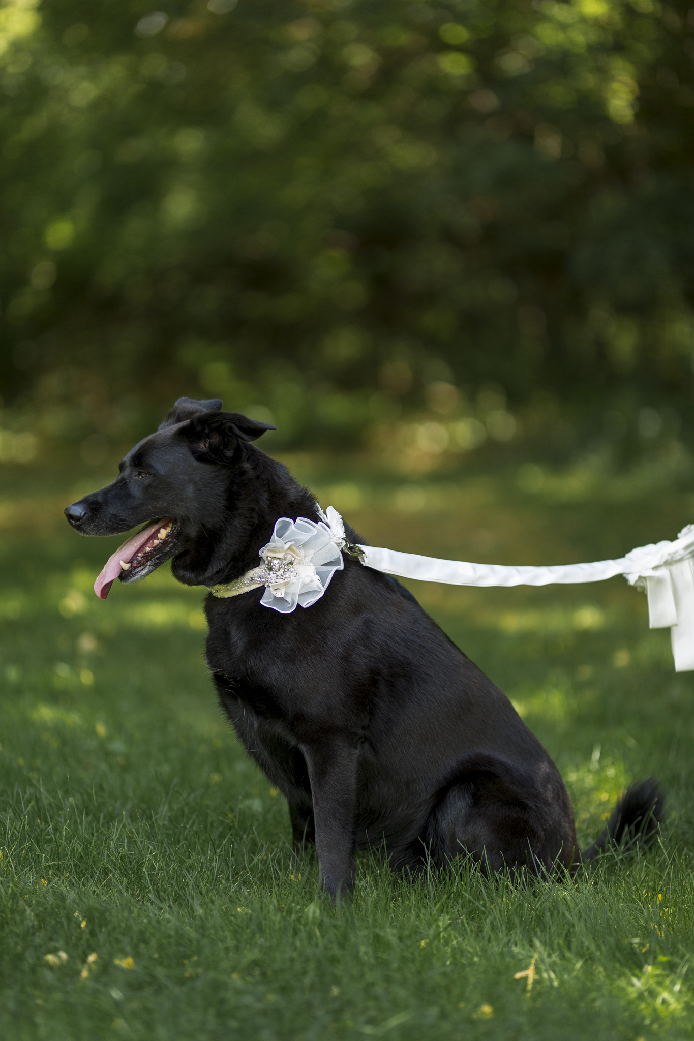 agatha and ryan-33.jpg