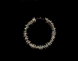 3 Embodying culture: Lola Greeno and Marina Abramović: Gabriella Coslovich, Hobart Lola Greeno’S necklace of 143 Bungana (king) maireener shells threaded on stainless steel with human hair clasp, 25cm; commissioned by the Museum of Old and New Art (MONA), Hobart, in January 2015 and presented to Marina Abramović on 14 June 2015; photo © MONA: Rosie Hastie