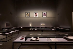 6 Suspending disbelief: ‘The photograph and Australia’: Claire Capel-Stanley, Sydney The photograph and Australia, exhibition view, Art Gallery of New South Wales (AGNSW), Sydney, 2015, with archival display and artworks by Tracey Moffatt; photo © AGNSW: Jenni Carter