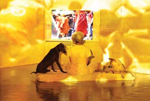 6 Alms to stray dogs and other stories Araya Rasdjarmrearnsook in conversation with JOHN CLARK Araya Rasdjarmrearnsook, Treachery of the Moon (still) , 2012, single-channel video installation; image courtesy the artist