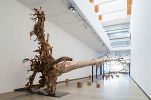 3 Environmentalist drift: Cai Guo-Qiang’s ‘Falling Back to Earth’: SOUCHOU YAO Cai Guo-Qiang, Eucalyptus , 2013, installation view; spotted gum (Corymbia maculata), wooden stools, paper and pencils; length: 3150cm (approximate); commissioned for ‘Falling Back to Earth’; image courtesy Queensland Art Gallery/Gallery of Modern Art, Brisbane