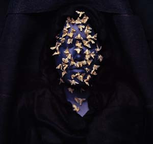 5 Into the light: Nick Mitzevich and the 13th Adelaide Biennial of Australian Art: WENDY WALKER Shoufay Derz, I am death destroyer of words (detail), 2011, pigment print on cotton paper, custom-made cedar wood frame, stained indigo, 104 x 111cm; image courtesy the artist; ©Shoufay Derz