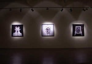 3 Echoing across the pond: Gallery Gabrielle Pizzi, 1987–2014: Jane Raffan Christian Thompson, We Bury Our Own , exhibition view, Gallery Gabrielle Pizzi, Melbourne, 2012. image courtesy Gallery Gabrielle Pizzi, Melbourne