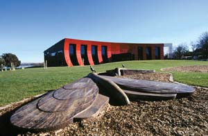 1 Drawn to a Flame: Rekindling Local Treasures at AIATSIS: RITA METZENRATH Jim Williams and Matthew Harding, Bogong moths , 2001, cast metal; an ArtsACT commissioned public art work, located between the National Museum of Australia and AIATSIS; image courtesy the artists