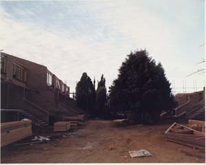 18 Canberra Suite: IAN NORTH/SARAH RICE from Ian North’s Canberra Suite , 1980-1981, 24 type-C prints, printed by the artist from 6 x 7cm negatives in 1986; average dimension c. 37 x 45.7cm; courtesy the artist
