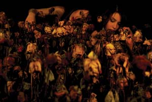 13 em files: Theatricity Sara Sweet, images from the photographic series The Rose Garden which is influenced by Sweet’s interest in the Baroque and 18th century Western notions of ‘the sublime’
