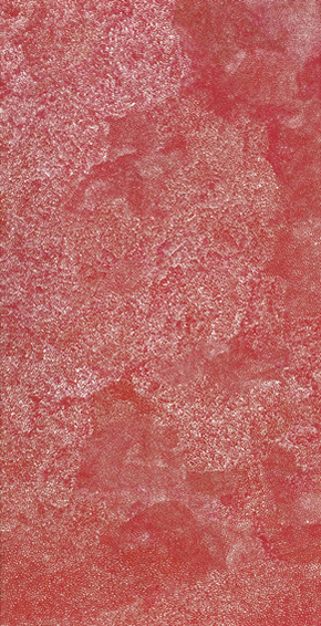 4 Angelina Pwerle: An artist from Utopia: Chrischona Schmidt, Utopia Angelina Pwerle, Bush plum , 2007, acrylic on linen, 117 x 61cm; © the artist, licensed by Aboriginal Artists Agency Ltd