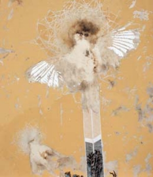 24 em file: Vanessa Barbay: Painting our animal selves: MELINDA HINKSON Vanessa Barbay, Crucified (Winter Chough and Starling) , 2011-12, chough, starling, oil, delek and rabbit skin glue on canvas, 73 x 84.5cm