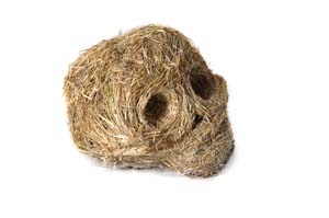 9 Nalda Searles: Drifting in My Own Land: NIEN SCHWARZ Grass Skull 2 , 2008, common fodder (meadow hay), poly thread, rough stitching, 12 x 22 x 16cm. All images of work by Nalda Searles from the exhibition catalogue for NALDA SEARLES, drifting in my own land . Images courtesy the artist