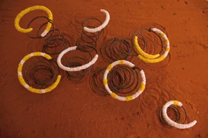 10 When worldviews meet: Puturru Palyalpayi / Stringmakers: IAN McLEAN Bronwyn Goss, Dancing Pleiades Visiting Kungkarangkalpa Country (detail), 2010, old bed springs, red dirt, flowers, 18 x 90cm. Image courtesy the artist