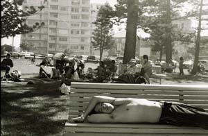 4 Down South: A Stark View of the Sutherland Shire: DIANA SIMMONDS Andrew Stark, Cronulla Park , 2008