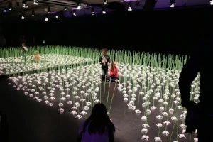 4 Reframing emerging art: The 2016 NSW Visual Arts Fellowship (Emerging): Talia Linz, Alexie Glass-Kantor and Lola Pinder,  Sydney    Tully Arnot,  Meadow IRL , 2015, installation view; modified solar display stands, straws, light, motion; image courtesy the artist; photo: Tully Arnot