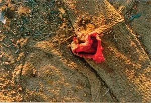 1 The shifting ground of non-Indigenous art-making in Central Australia: KIERAN FINNANE Pamela Lofts, Country Love (detail), 1996-2006, inkjet print collage on foamcore. Courtesy the artist. Photograph by Pamela Lofts