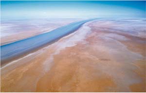 2 Wading into Scripture: Bal Tashchit: VIRGINIA FRASER, Melbourne Hari Ho, Eternity: Moment by Moment , 2003, C-type print. Courtesy the artist
