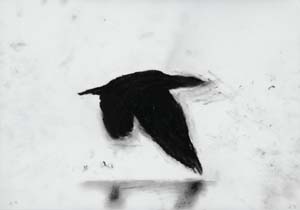 4 slowly disappearing darling: MARGUERITE BROWN Martin King, slowly disappearing darling (detail), 2007, sequence of drawings nos. 22-25 from a series of 100, charcoal on drafting film. Courtesy the artist and Port Jackson Press Australia, Melbourne. Photograph by Viki Petherbridge