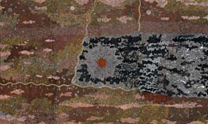4 Working on New Directions for the Arts: PETER ANDERSON Clifford Possum Tjapaltjarri (1932-2002), Warlugulong , 1977, synthetic polymer paint on canvas. National Gallery of Australia, Canberra. Purchased with the generous assistance of Roslynne Bracher and the Paspaley Family, David Coe and Michelle Coe, Charles Curran and Eva Curran 2007. © the estate of the artist