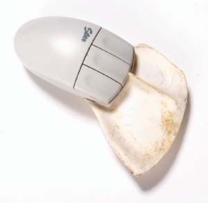 12 To see or not to see: is that the question? John Hayward at the South Australian Museum: RAY TYNDALE, Adelaide John Hayward, Mouse cutter, 2007, computer mouse, kangaroo bone (scapula). Photograph by Michal Kluvanek