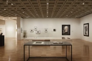 14 Careful gestures: Curatorial work and the poetic potential of metaphor: Isobel Parker Philip, Sydney Imprint: photography and the impressionable image, exhibition view, Art Gallery of New South Wales (AGNSW), Sydney, 2016; photo: Felicity Jenkins/AGNSW