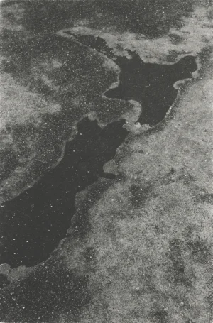 15 Reproducing history: New Zealand Photography Collected : Geoffrey Batchen, Wellington Peter Peryer, N ew Zealand 15.3.1991 , 1991, silver gelatin print, 40.8 x 26.8cm; Museum of New Zealand Te Papa Tongarewa, Wellington, purchased 2004