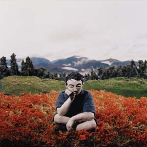 1 The Guggenheim Collection: MICHAEL DESMOND, Melbourne Sarah Anne Johnson, Boy in the field, 2002, chromogenic print. Solomon R. Guggenheim Museum, New York. Purchased with funds contributed by Pamela and Arthur Sanders; the Harriett Ames Charitable Trust; Henry Buhl; the Heather and Tony Podesta Collection, Falls Church, VA; Ann and Mel Schaffer; Shelley Harrison; and the Photography Committee, 2005. © Sarah Anne Johnson, courtesy of Julie Saul Gallery, New York