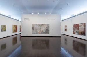 2 Out of The Enclosure: Elisabeth Cummings's 'Interior Landscapes': Anne-Marie Jean, Canberra Elisabeth Cummings: Interior Landscapes , exhibition install view, ANU Drill Hall Gallery, Canberra, 2017; image courtesy the Drill Hall Gallery, Canberra; photo: Rob Little Digital Images