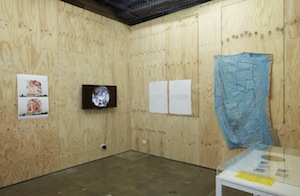8 Studio Tropes: Exploring the Fluid contexts for Creativity: craig Judd, Sydney Our Studio Selves , exhibition install view, ‘Ideas Platform’, Artspace, Sydney, April 2017; photo: Zan Wimberley