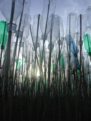 8 Ten Days on the Island 2005: The exhibition round-up: DANIEL THOMAS Lucia Usmiani, Clatter (detail), 2005, installation of plastic bottles and bamboo stakes on Goldie Street, Wynyard. In the exhibition HWY1 #2 , at various locations on the Bass Highway, Tasmania, from 1 to 10 April. Photo Richard Muir-Wilson