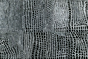 5 New frontiers for Indigenous art: Jirrawun Arts, East Kimberley: JEREMY ECCLES Goody Barrett, Lirnkirrel , 2004, earth pigments and synthetic polymer on linen, eight panels. Courtesy of the artist and Sherman Galleries, Sydney