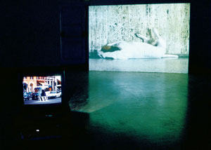 12 Finola Jones: Artificially reconstructed habitats at the Canberra Contemporary Art Space: EVE SULLIVAN Installation photograph of Finola Jones: Artificially reconstructed habitats , 2004, at the Canberra Contemporary Art Space