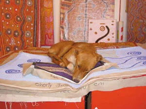 7 Life, dogs and art in Yuendumu: GLORIA MORALES Warlukurlangu Artists. Photo Gloria Morales.