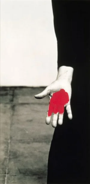 7 On reason and emotion: Biennale of Sydney 2004: MICHAEL DESMOND Helena Almeida, Sem titulo (Untitled) , 1994 -95, black and white photographs, one with red acrylic paint (detail: single photograph). Collection of the Serralves Foundation, Museum of Contemporary Art, Porto, Portugal. Photo Arthur Rosa. First impressions shouldn't count, but I suspect that the works encountered at the doors of the Sydney Biennale, both at the MCA and at the AGNSW jaundiced my view of the entire show.