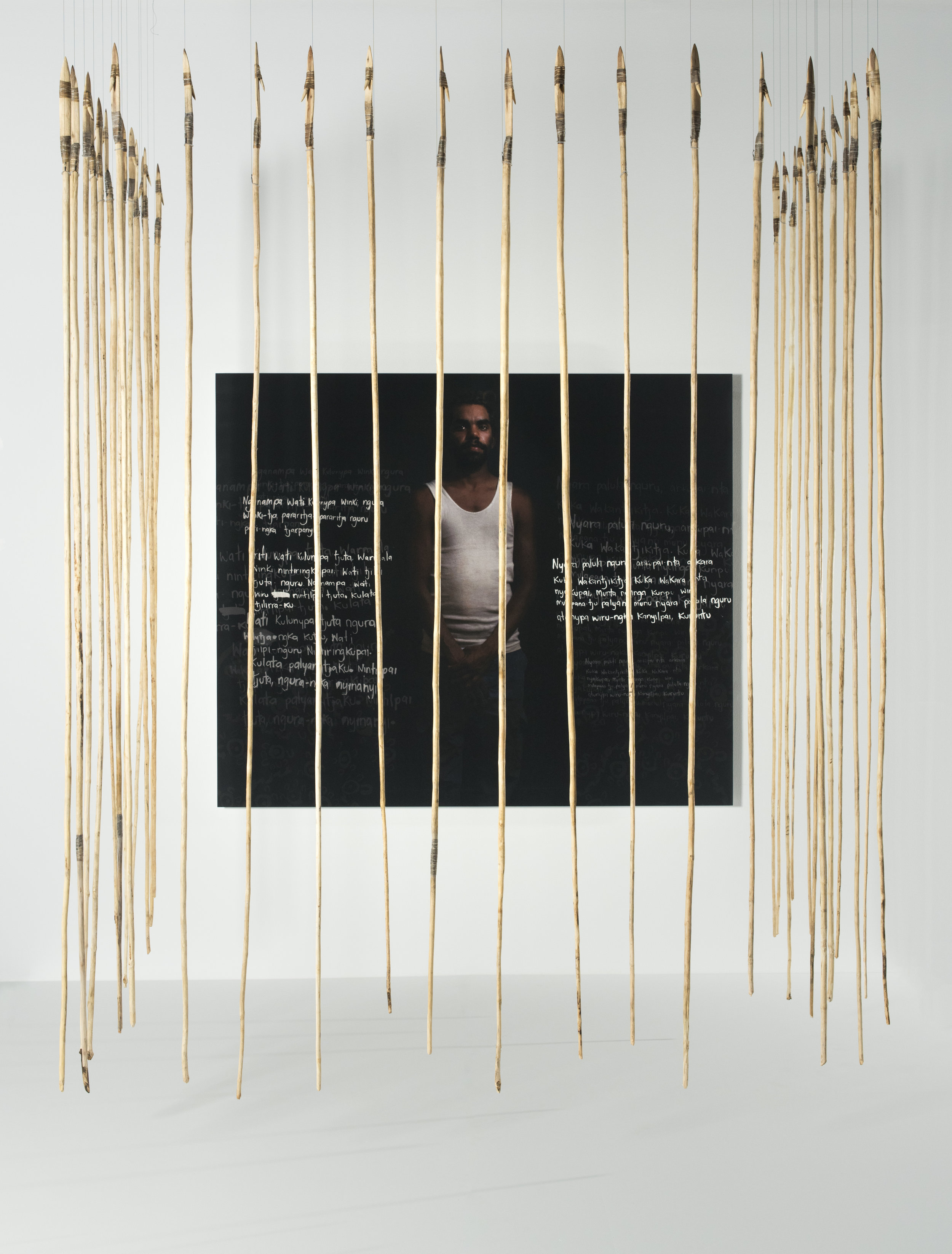 Anwar Young, Unrupa Rhonda Dick and Frank Young, Kulata Tjuta – Wati kulunypa tjukurpa (Many spears – Young fella story) , 2017, digital print, wood, kangaroo tendon, kiti (natural glue); print 148 x 176cm; spears 280 x 2 x 2cm approx. (37 pieces); image courtesy the artists and the Museum and Art Gallery of the Northern Territory, Darwin