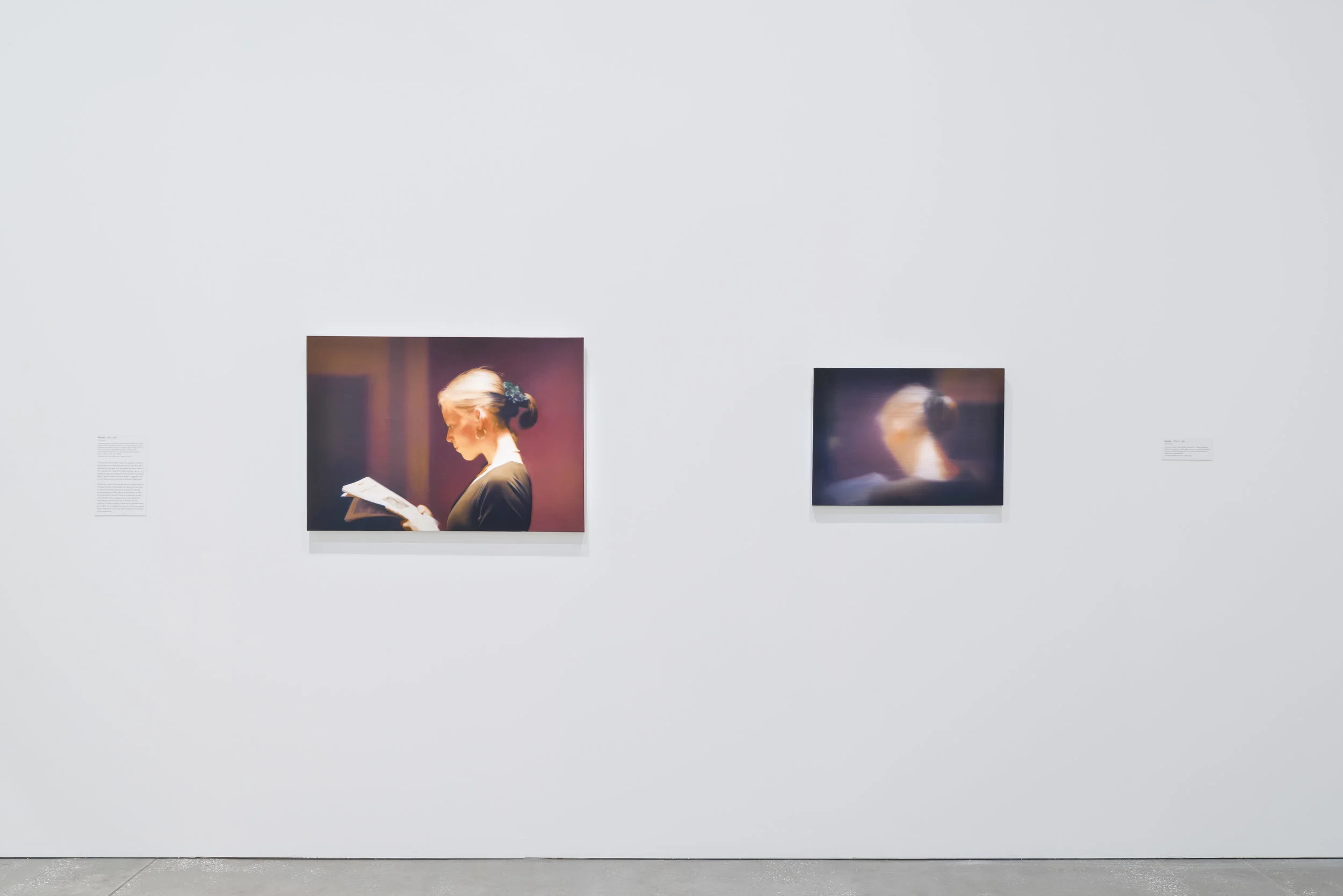 Gerhard Richter: The Life of Images , exhibition installation view, Queensland Art Gallery / Gallery of Modern Art (QAGOMA), Brisbane, 2017, with Reader (804) and Reader (799-1) , both 1994; photo: Natasha Harth, QAGOMA